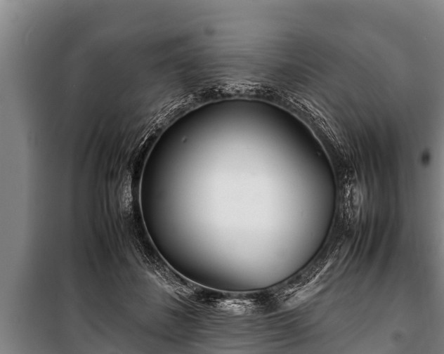 X0000100850508200806271139