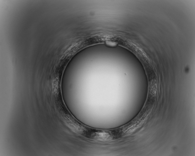 X0000100850509200806271139