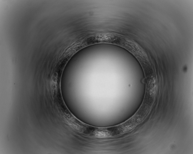 X0000100850510200806271139