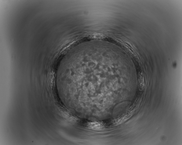 X0000100850511200806271138