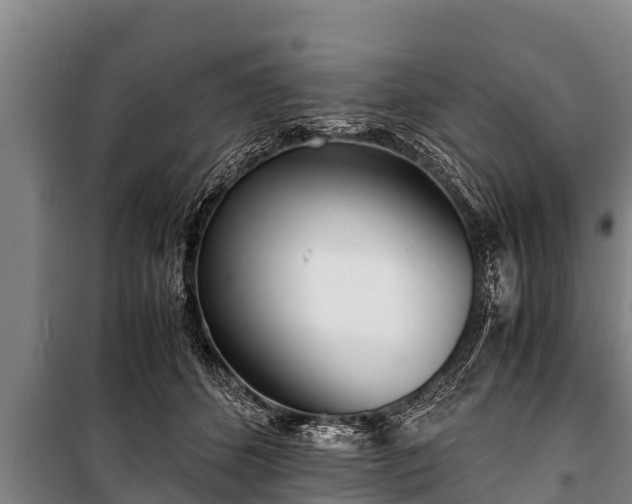 X0000100850512200806271138