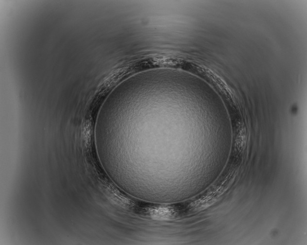 X0000100850513200806271138