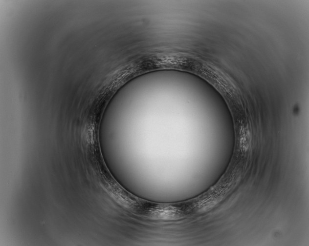 X0000100850514200806271138