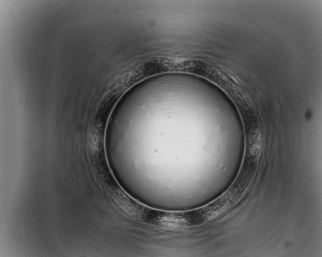 X0000100850515200806271138