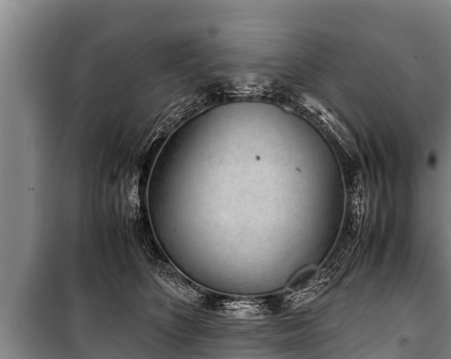 X0000100850516200806271138