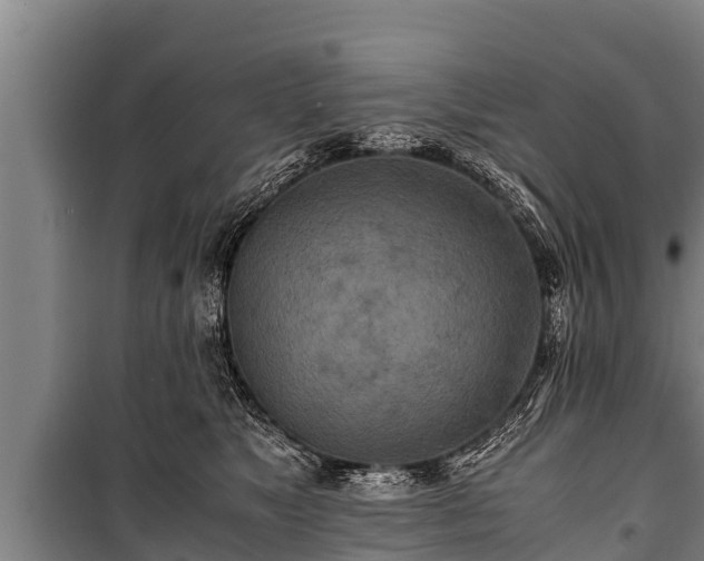 X0000100850517200806271138