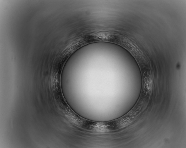 X0000100850518200806271138