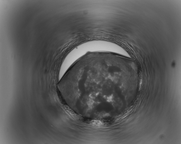 X0000100850519200806271138