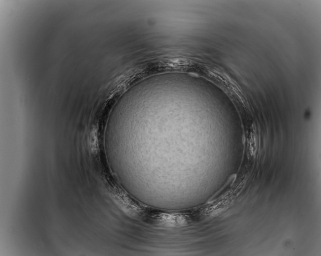 X0000100850520200806271138