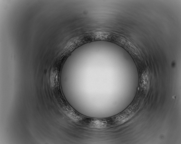 X0000100850522200806271138