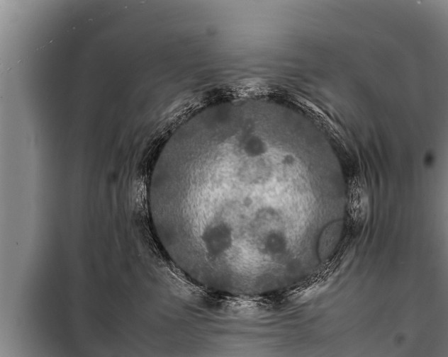 X0000100850523200806271138