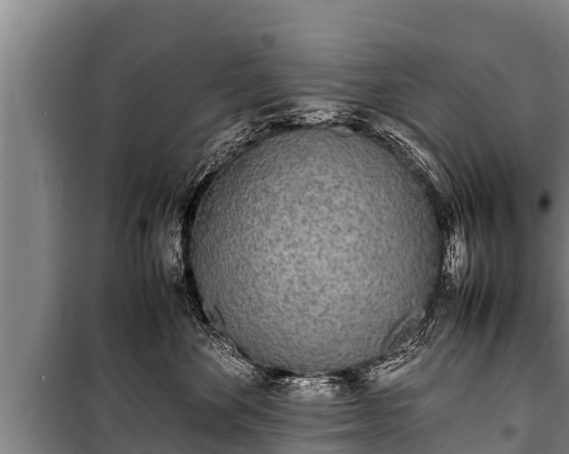 X0000100850524200806271138