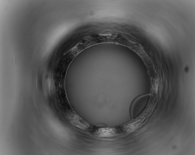 X0000100850526200806271138