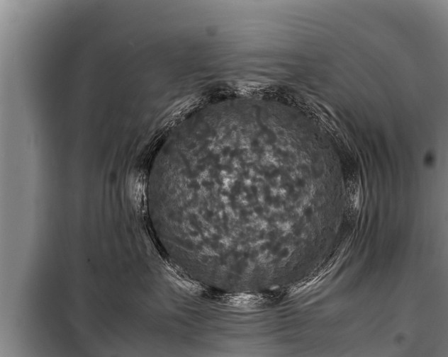 X0000100850527200806271138