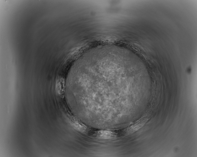 X0000100850528200806271138