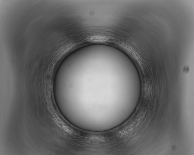 X0000100850529200806271137