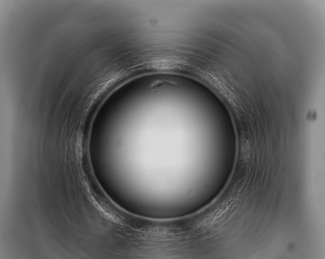 X0000100850530200806271137