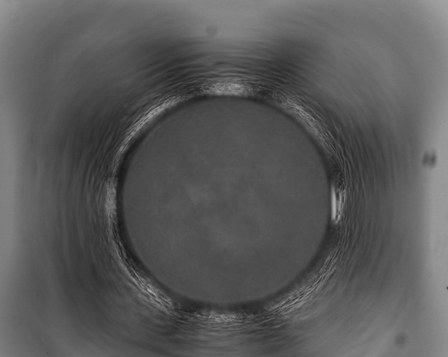 X0000100850531200806271137