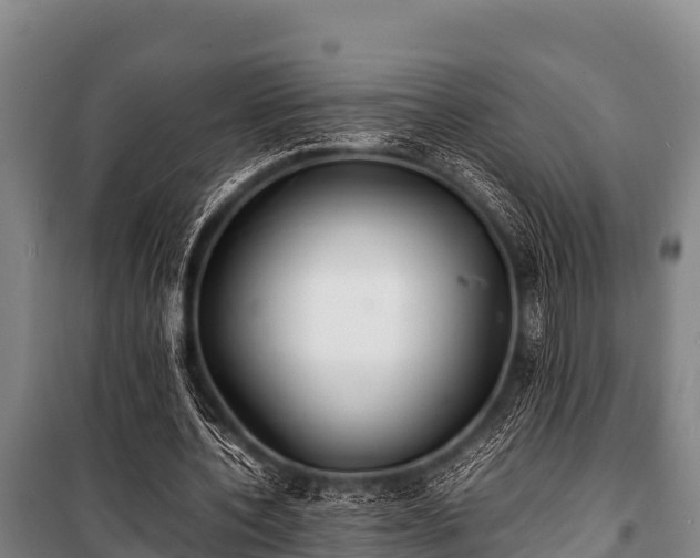 X0000100850532200806271137