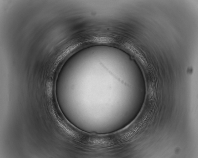 X0000100850533200806271137