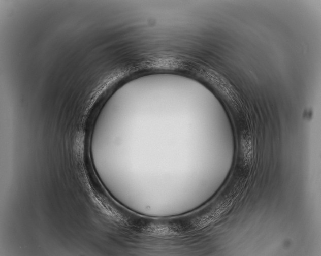 X0000100850534200806271137