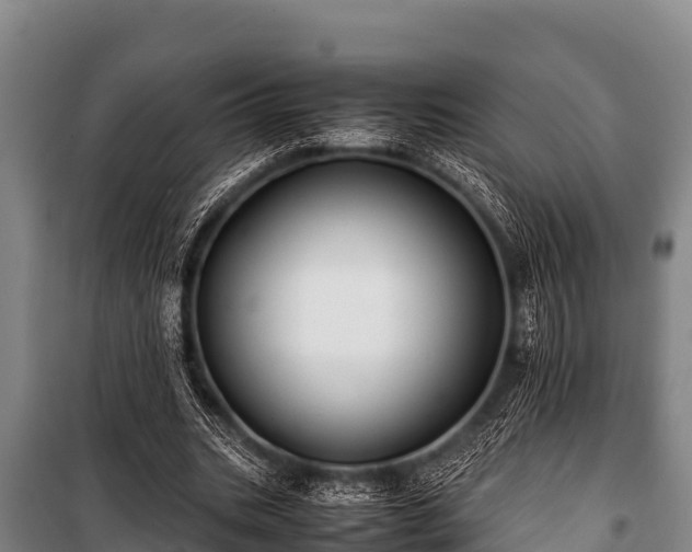 X0000100850535200806271138