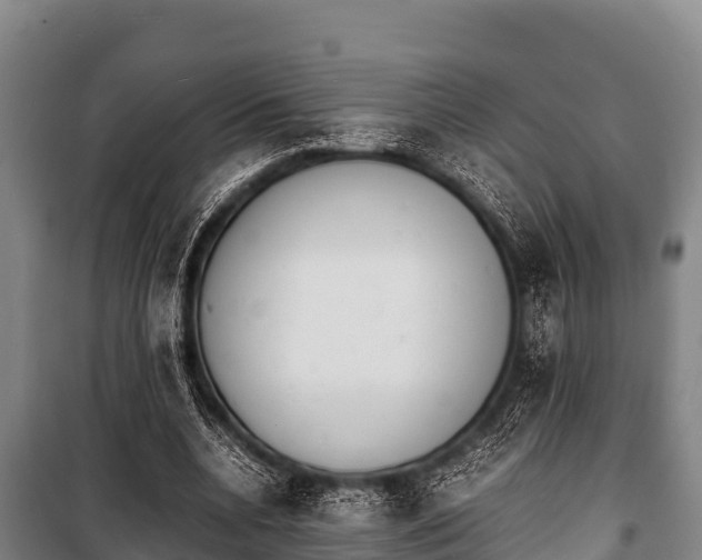 X0000100850536200806271138