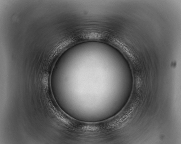 X0000100850537200806271138