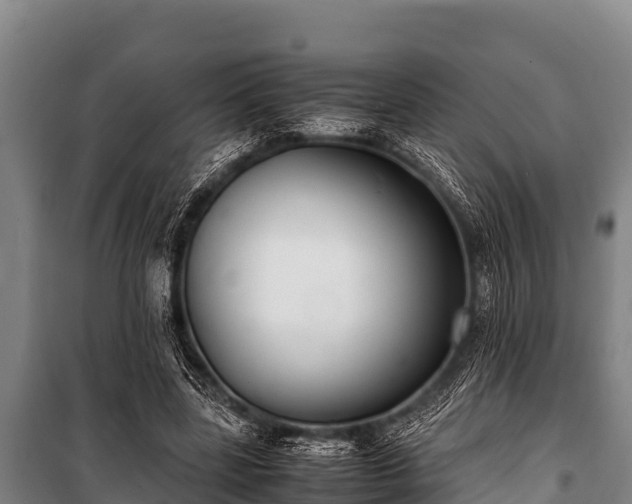 X0000100850539200806271138