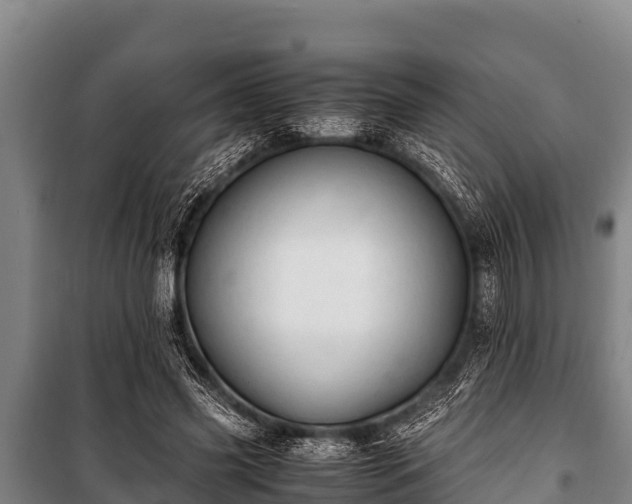 X0000100850541200806271138