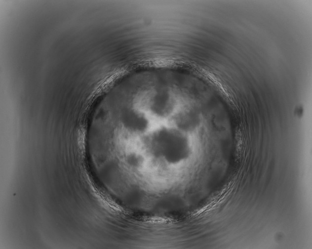 X0000100850542200806271138