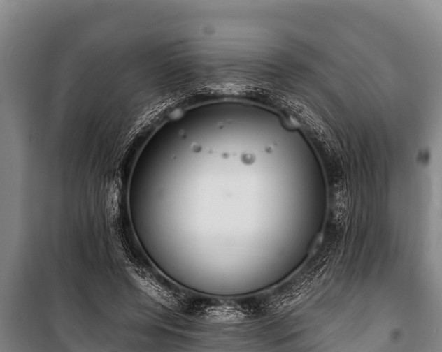 X0000100850544200806271138