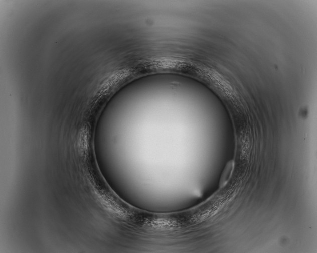 X0000100850546200806271138