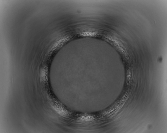 X0000100850547200806271138