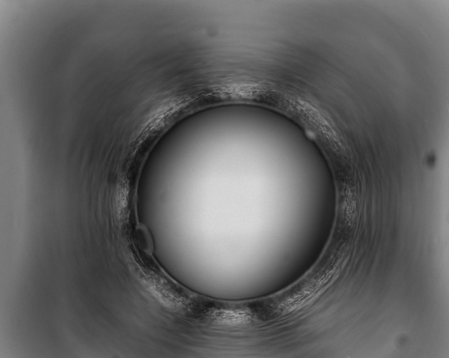 X0000100850548200806271138