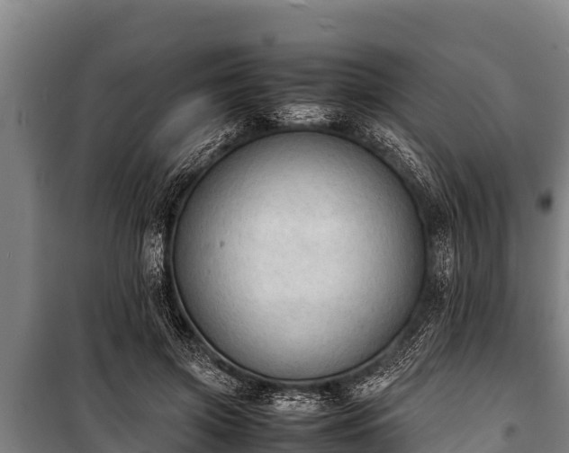 X0000100850549200806271138