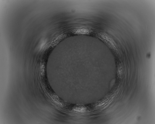 X0000100850551200806271138