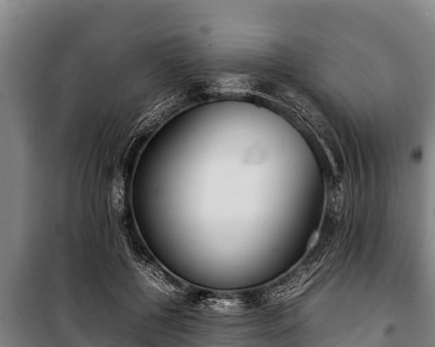 X0000100850552200806271138