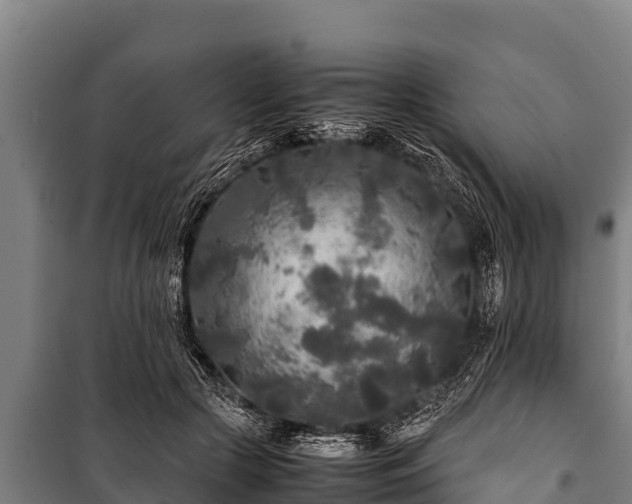 X0000100850553200806271138