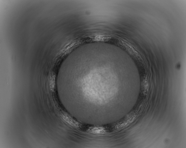 X0000100850554200806271138