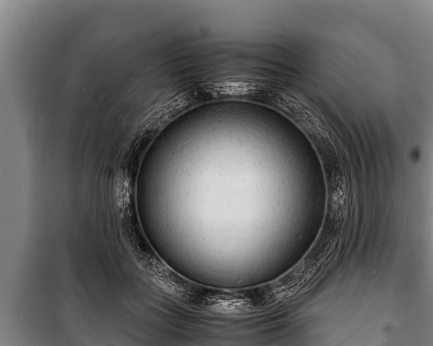 X0000100850555200806271138