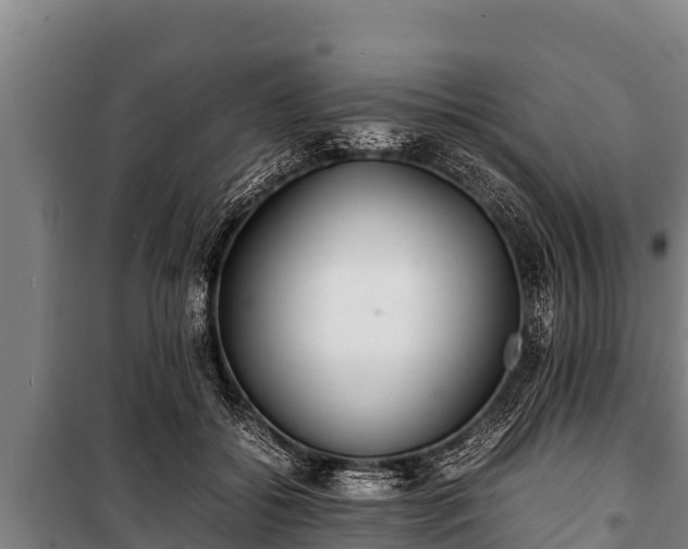 X0000100850556200806271138