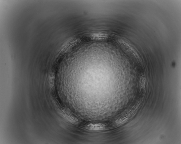 X0000100850557200806271138