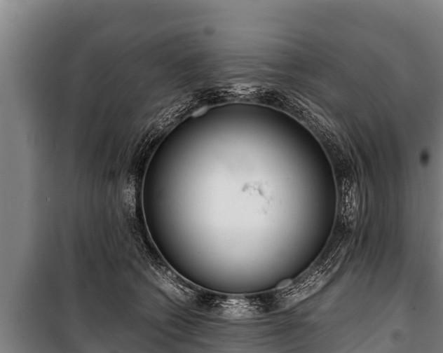 X0000100850562200806271138