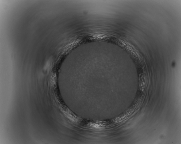 X0000100850563200806271138