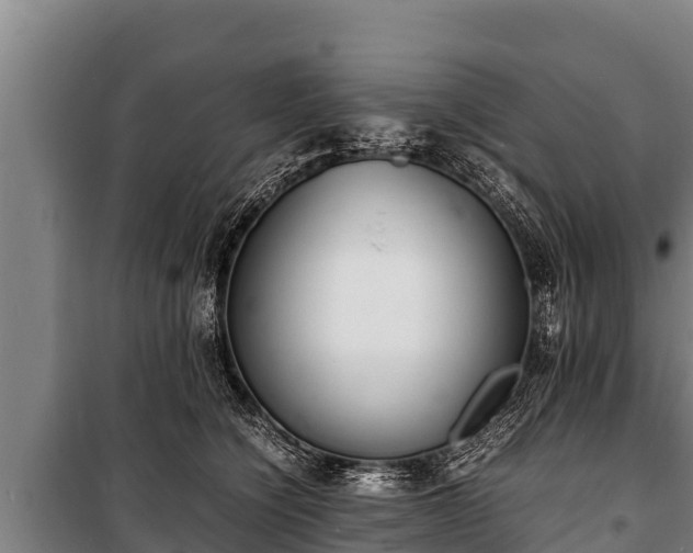 X0000100850564200806271138