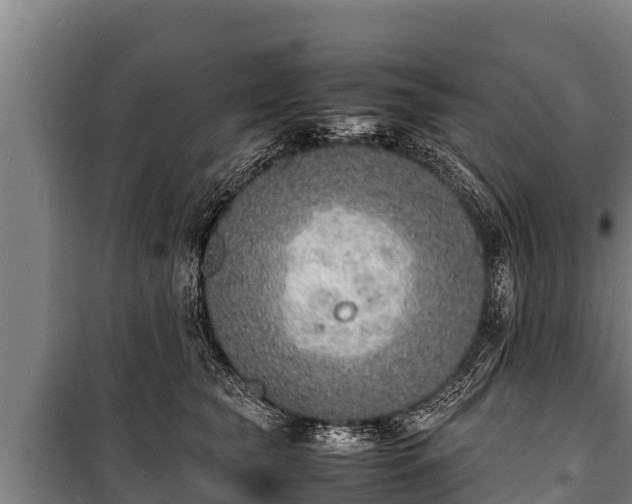 X0000100850565200806271138