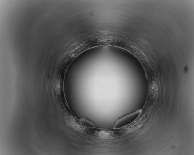 X0000100850566200806271138