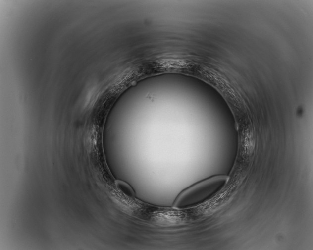 X0000100850567200806271138