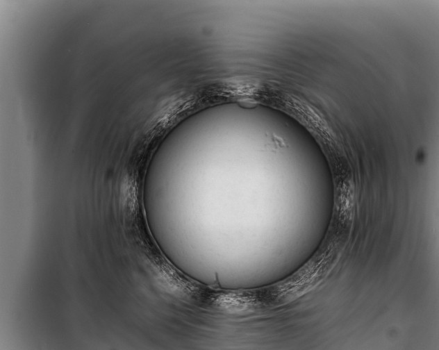 X0000100850568200806271138